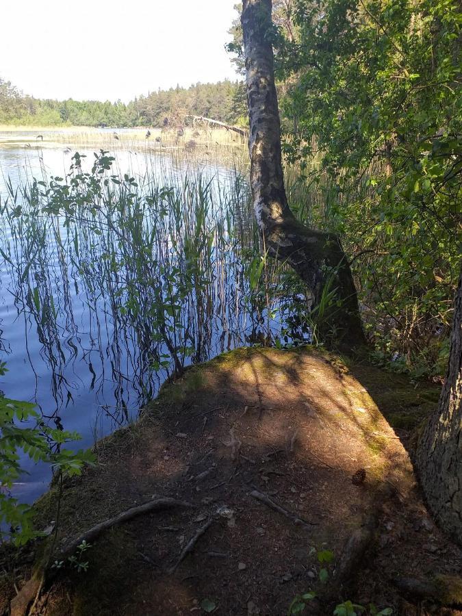 Zakatek Mikolajewo 14 Appartement Buitenkant foto