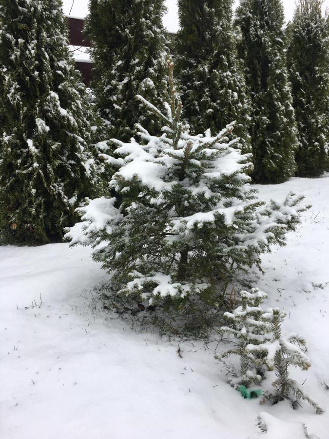Zakatek Mikolajewo 14 Appartement Buitenkant foto